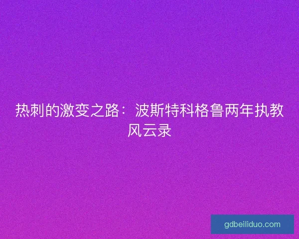 热刺的激变之路：波斯特科格鲁两年执教风云录