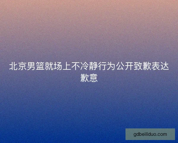 北京男篮就场上不冷静行为公开致歉表达歉意